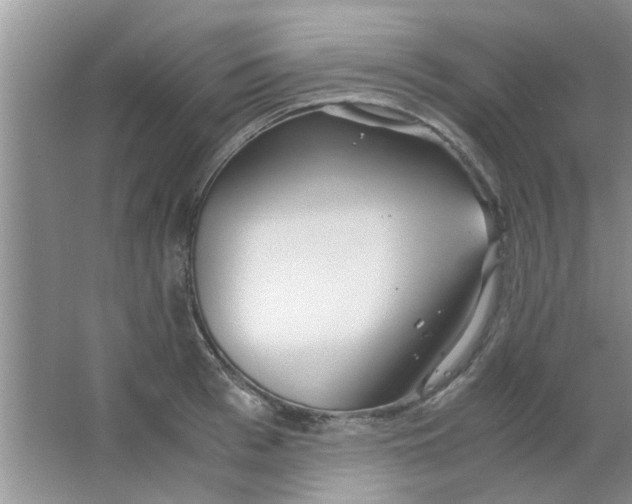 X0000063520993200602101947