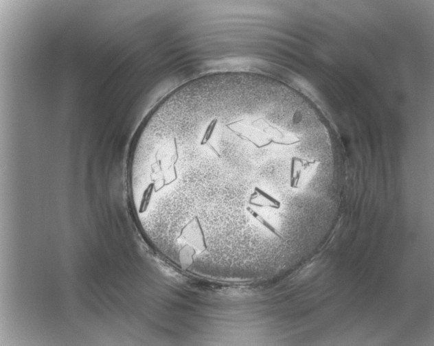 X0000063520994200602101947