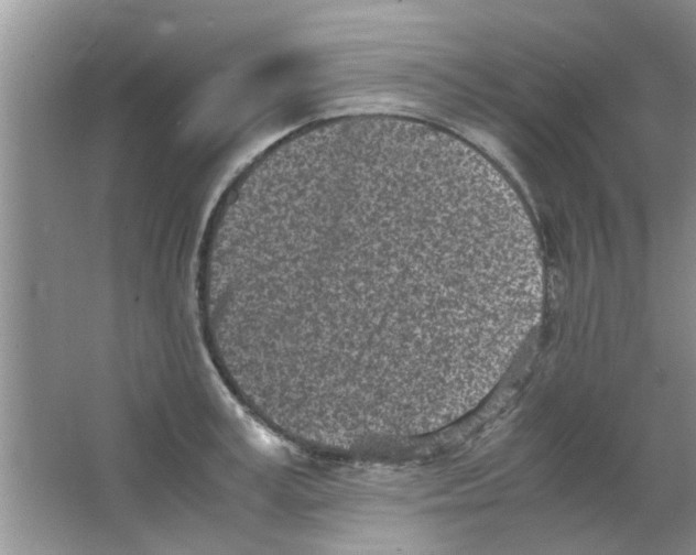 X0000063520995200602101947