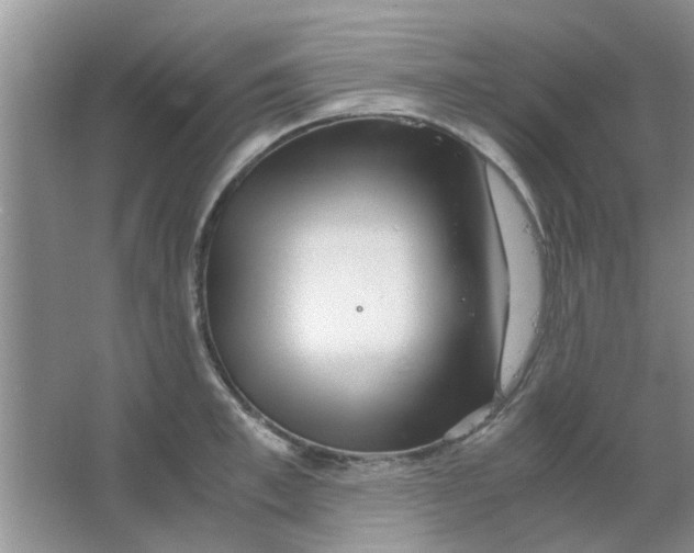 X0000063520997200602101947