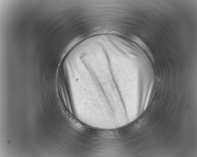 X0000063521002200602101946