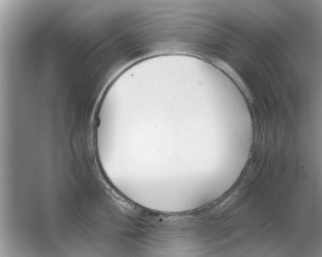 X0000063521004200602101946