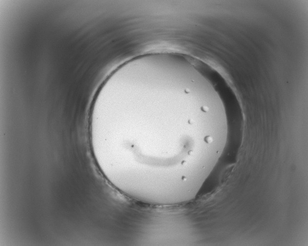 X0000063521008200602101946