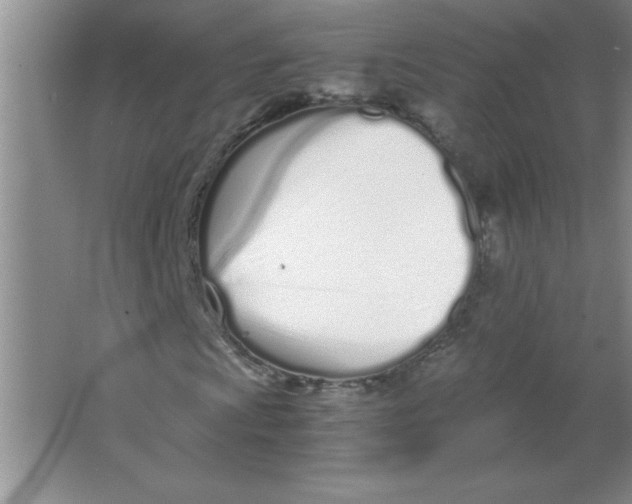 X0000063521009200602101946