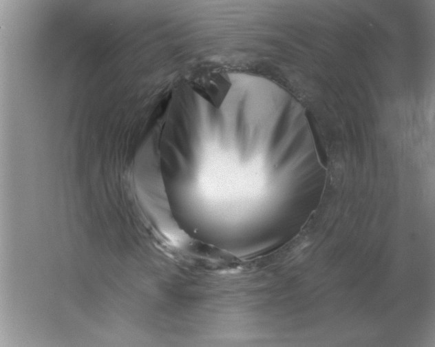 X0000063521010200602101946