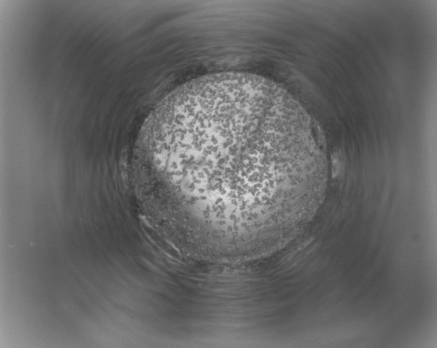 X0000063521011200602101946