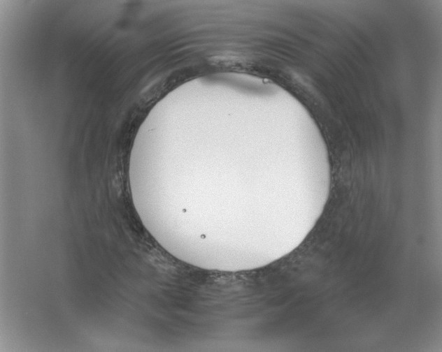 X0000063521015200602101946