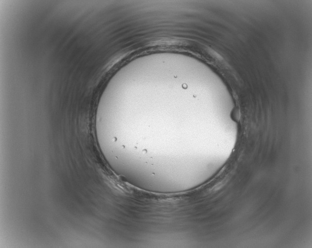 X0000063521017200602101946