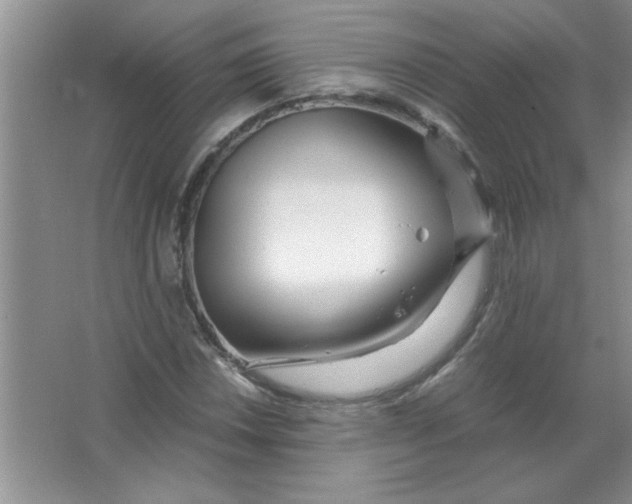 X0000063521018200602101946