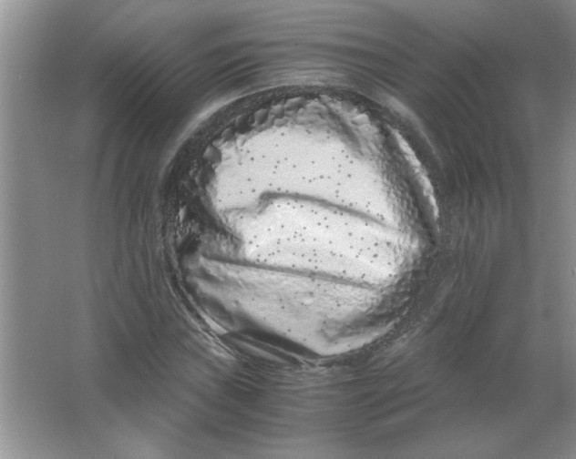 X0000063521019200602101946