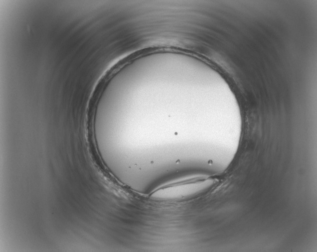 X0000063521020200602101946