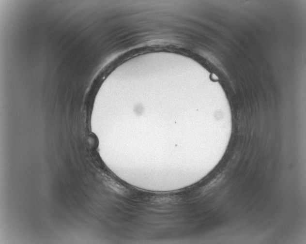 X0000063521021200602101946