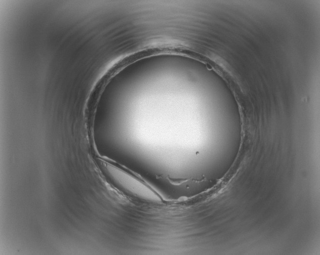 X0000063521022200602101946