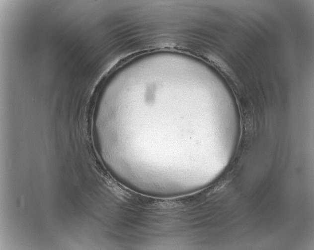 X0000063521023200602101946