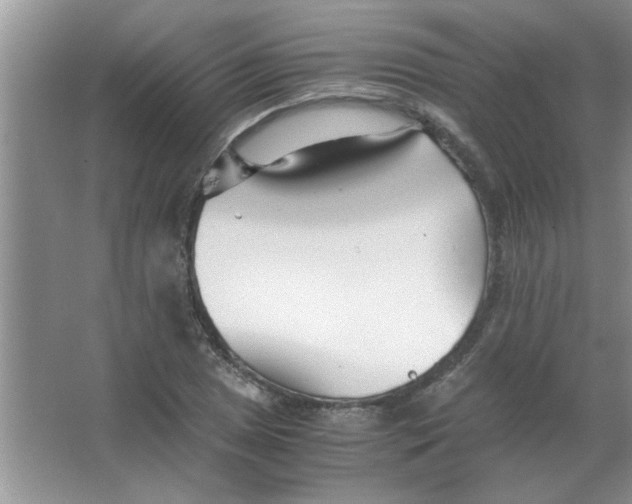 X0000063521025200602101946