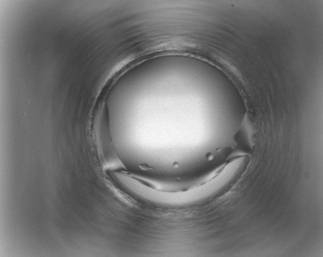 X0000063521026200602101946