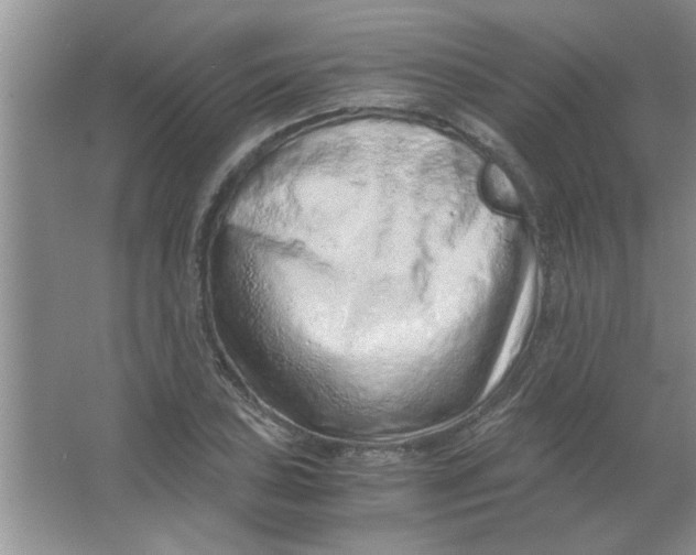 X0000063521027200602101946