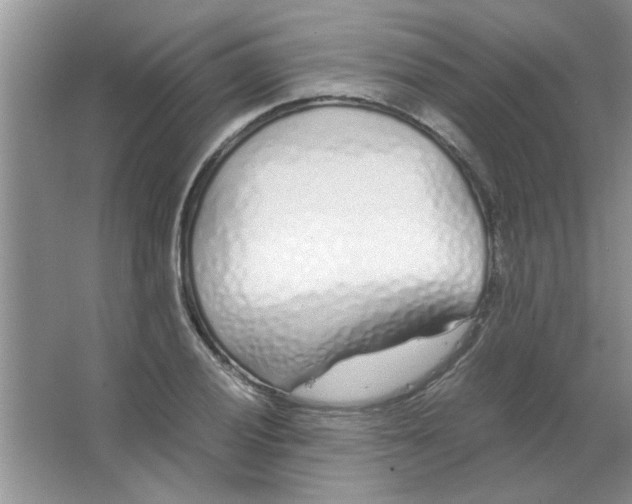 X0000063521028200602101946