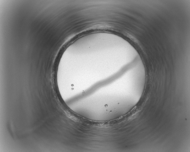 X0000063521029200602101946