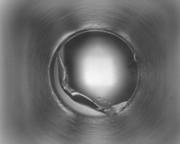 X0000063521030200602101946