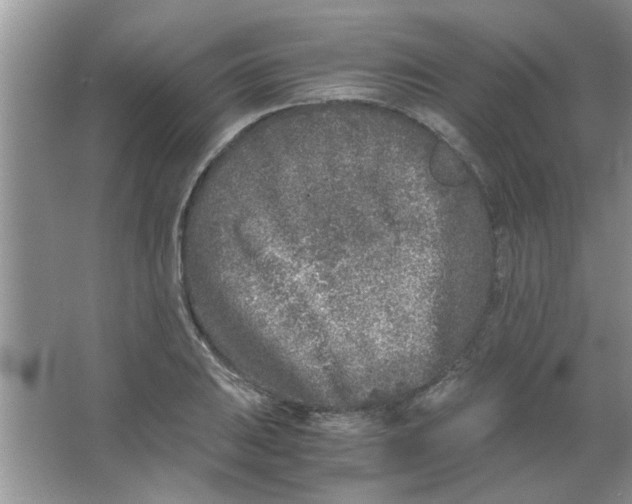 X0000063521031200602101946