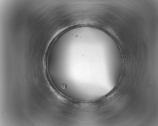 X0000063521032200602101946