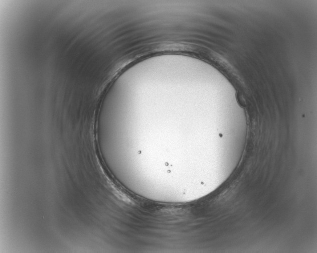 X0000063521033200602101946