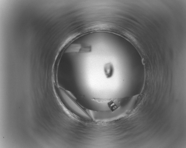 X0000063521034200602101946