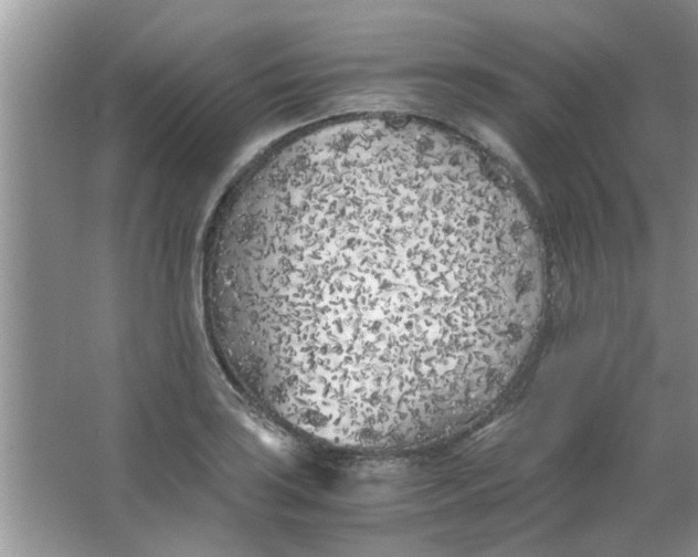 X0000063521035200602101946