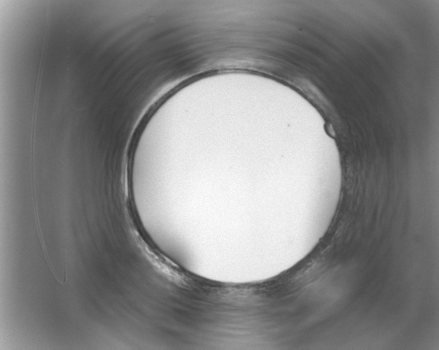 X0000063521036200602101946