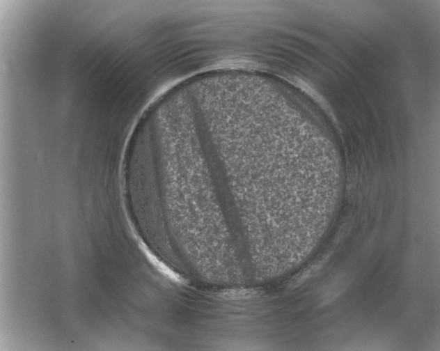 X0000063521037200602101946