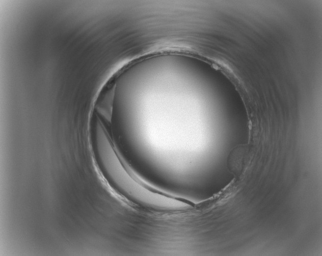 X0000063521038200602101946