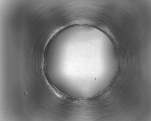 X0000063521040200602101946