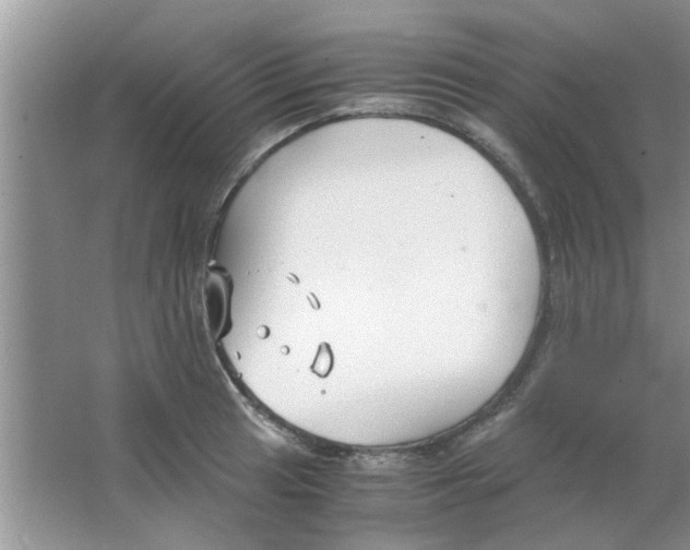 X0000063521041200602101946