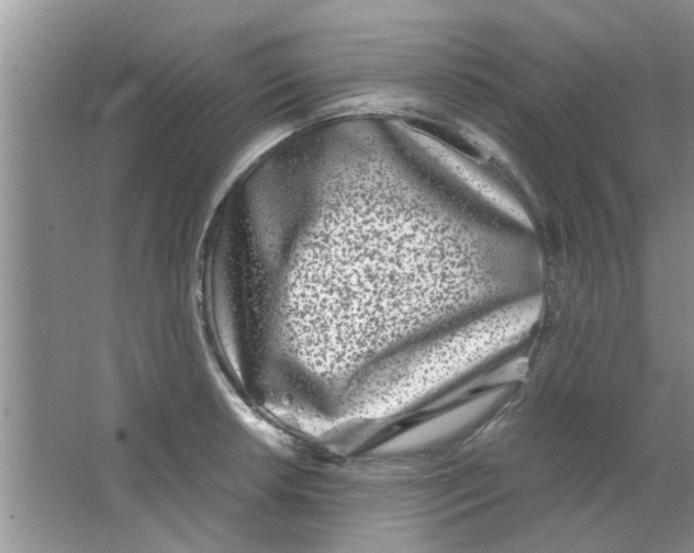 X0000063521042200602101946