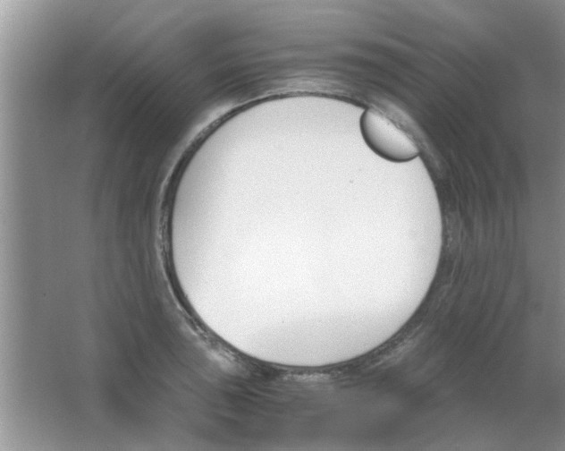 X0000063521043200602101946