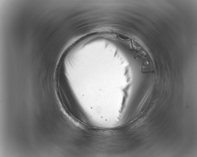 X0000063521045200602101946