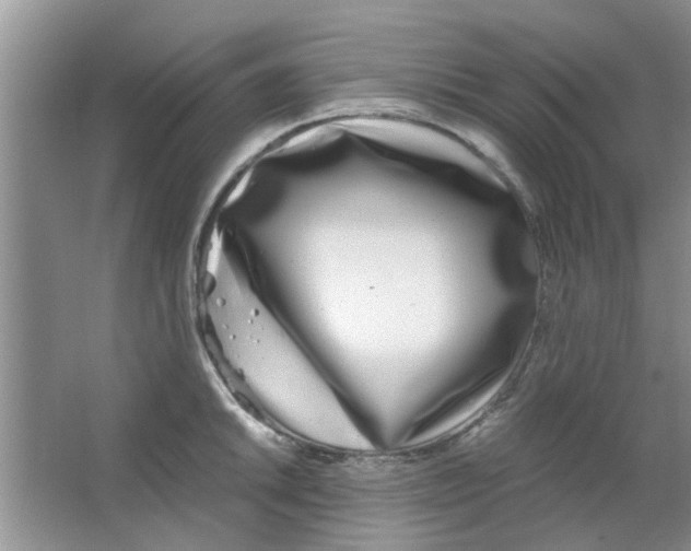 X0000063521046200602101946