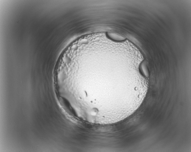 X0000063521047200602101946