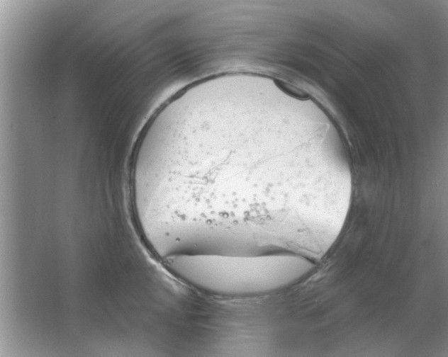 X0000063521048200602101946