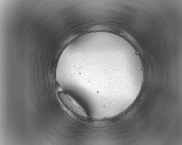 X0000063521049200602101946