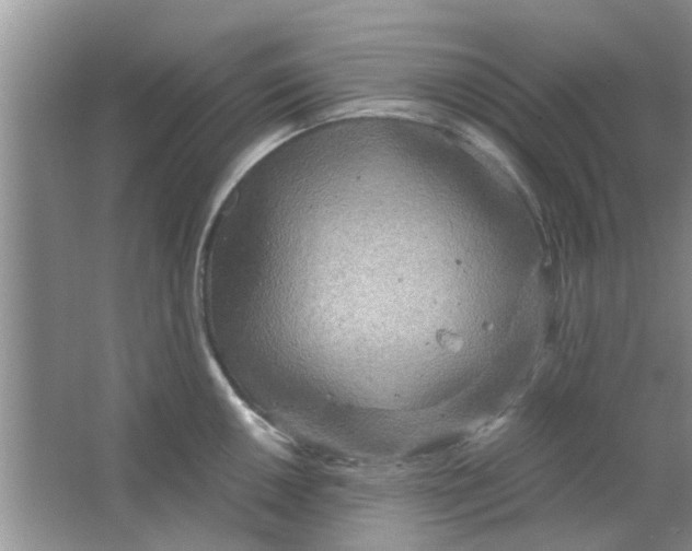 X0000063521050200602101946