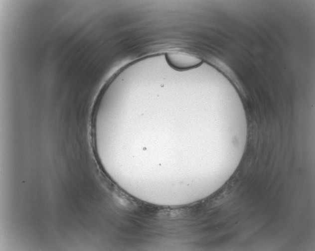 X0000063521051200602101946