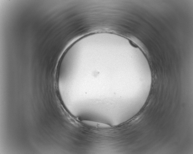 X0000063521052200602101946