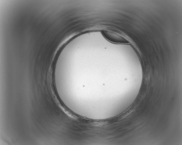 X0000063521053200602101946