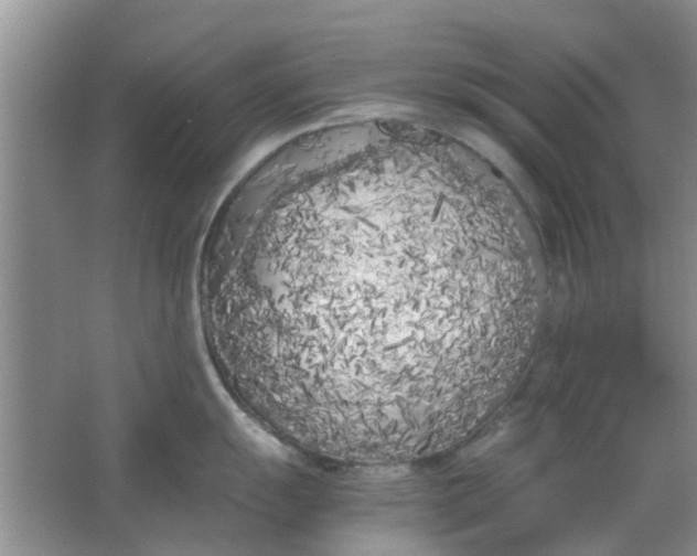 X0000063521055200602101946