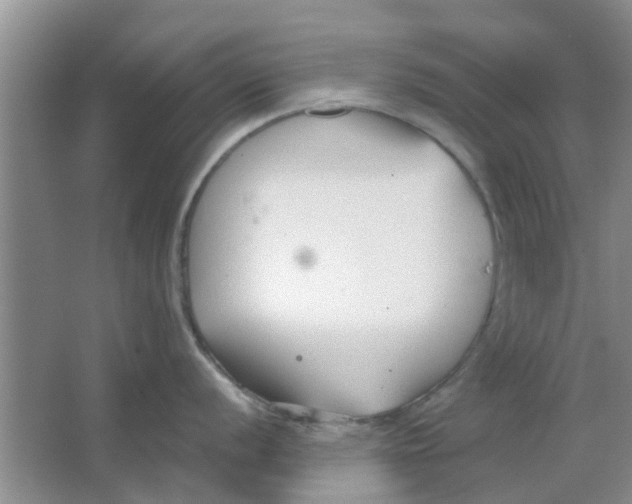 X0000063521056200602101946