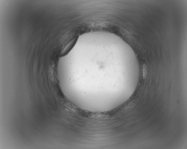 X0000063521059200602101946