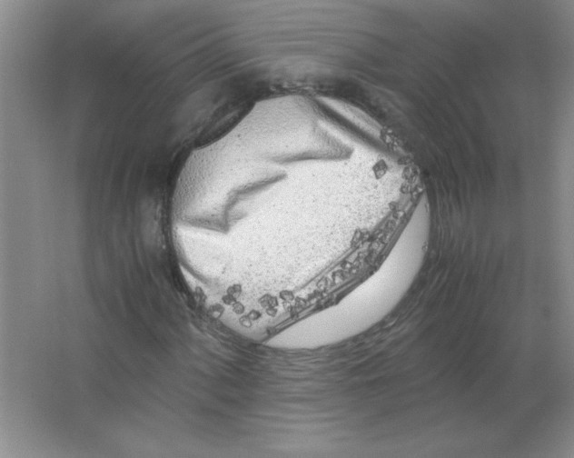 X0000063521060200602101946