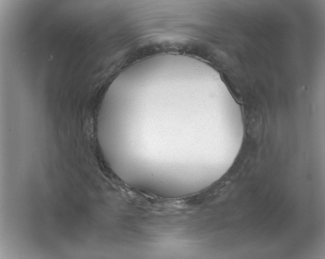 X0000063521061200602101945